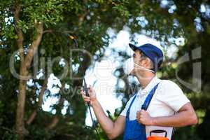 Side view of worker spraying on tree