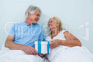 Smiling senior couple with gift box