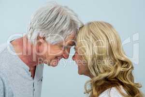 Close-up of romantic senior couple at home
