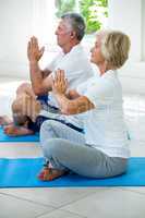 Side view of active senior couple performing yoga
