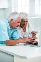 Happy senior couple with laptop at table