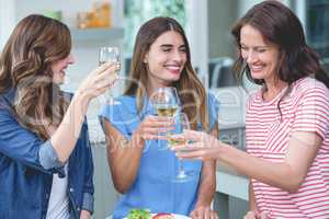 Friends toasting glass of wine while having meal