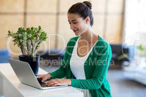 Beautiful woman using laptop