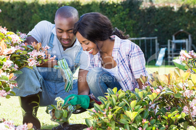 Young couple gardening together