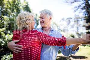 Happy senior couple dancing in the park