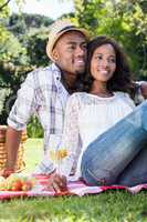 Young couple having a picnic in the park