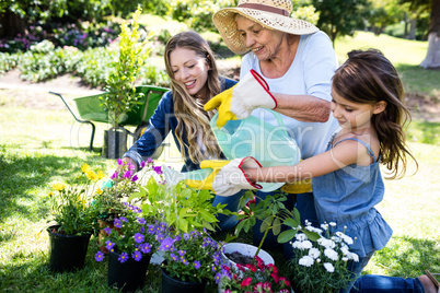 Multi-generation family gardening in the park