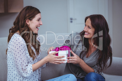 Woman giving a present to her friend in living room