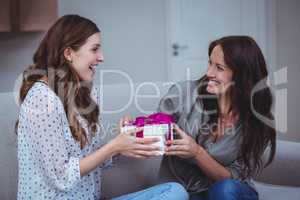 Woman giving a present to her friend in living room
