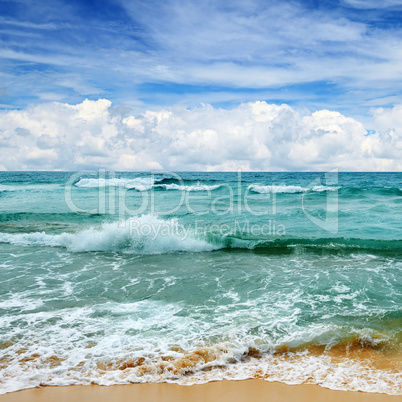 beautiful waves in the sea