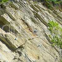 Safety net of rockfall in the mountains