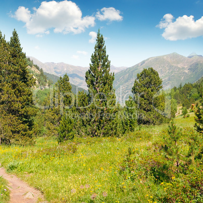 scenic mountains, meadows and blue sky