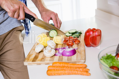 Mid-section of man chopping vegetable in kitchen