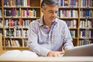 Professor sitting at desk using laptop