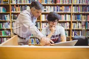 Professor assisting a student with studies