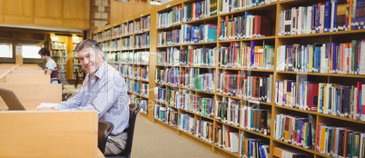 Portrait of happy professor sitting at desk using his laptop