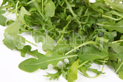 Rucola