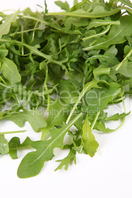 Rucola