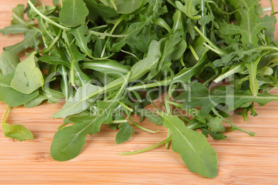 Rucola