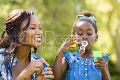 Happy family doing bubbles