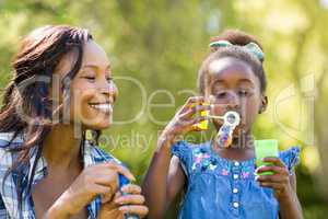 Happy family doing bubbles