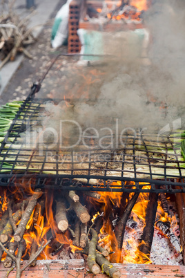 Calsot cooked on open fire,typical Spanish food