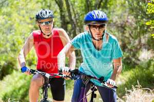 senior couple is doing bicycle