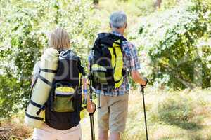 Senior couple standing with their stick