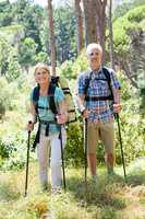 Senior couple standing with their stick