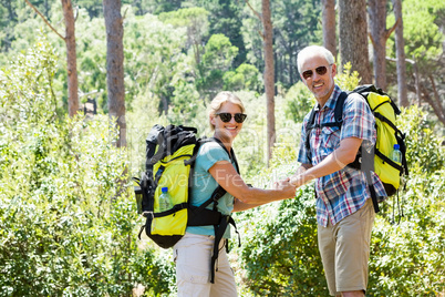 senior couple standing hand in hand