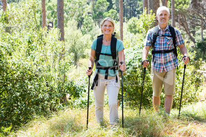 Senior couple standing with their stick