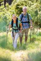 Senior couple standing with their stick