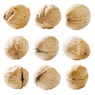 Walnut set isolated on white.