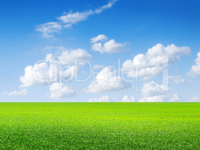 Green field, blue sky and white clouds.