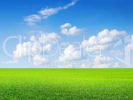 Green field, blue sky and white clouds.