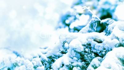 Snow-covered branch zoom out motion background