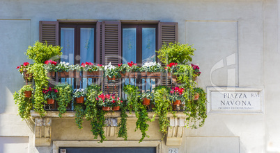 Balcuny in Piazza Navona, Rome