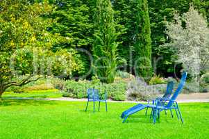 beautiful summer park with lawn and recliner
