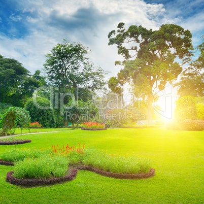 Sunrise in park