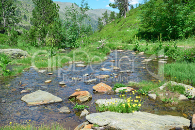 Scenic stream in the mountains