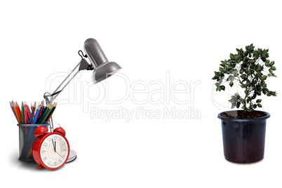 A image with a plant and a lamp