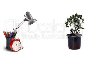 A image with a plant and a lamp