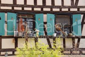 Fensterschmuck in Straßburg