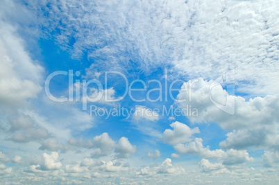 blue sky and white cumulus clouds