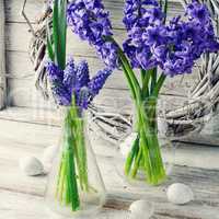 Still life with hyacinths