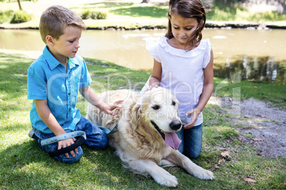 Siblings patting their pet dog in the park