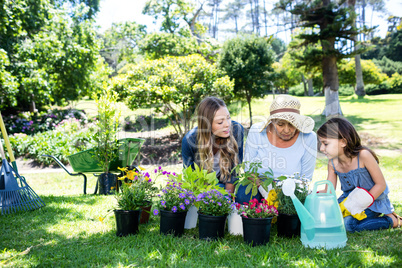 Multi-generation family gardening in the park