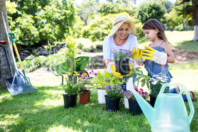 Grandmother and granddaughter gardening in the park