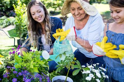 Multi-generation family gardening in the park