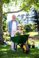 Grandfather carrying his granddaughter in a wheelbarrow